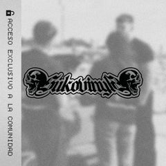 Banner "TwinReapers"